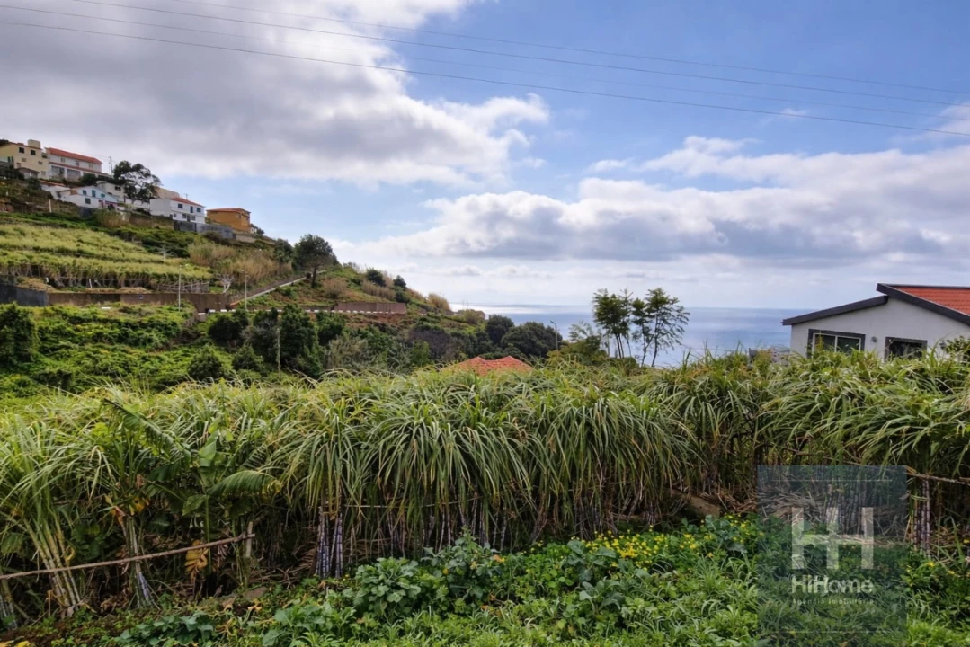 Terreno Agricola ou Rústico para Venda em Ribeira Brava Foto 3