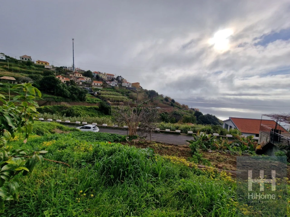 Terreno Agricola ou Rústico para Venda em Ribeira Brava Foto 5