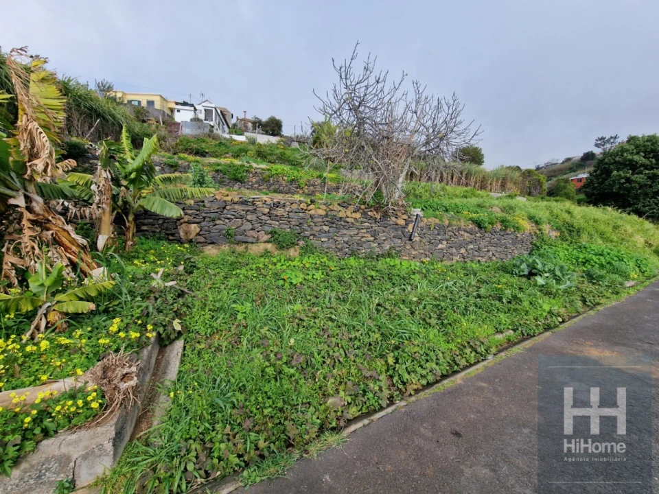 Terreno Agricola ou Rústico para Venda em Ribeira Brava Foto 7