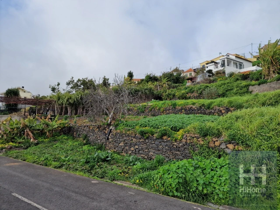 Terreno Agricola ou Rústico para Venda em Ribeira Brava Foto 8