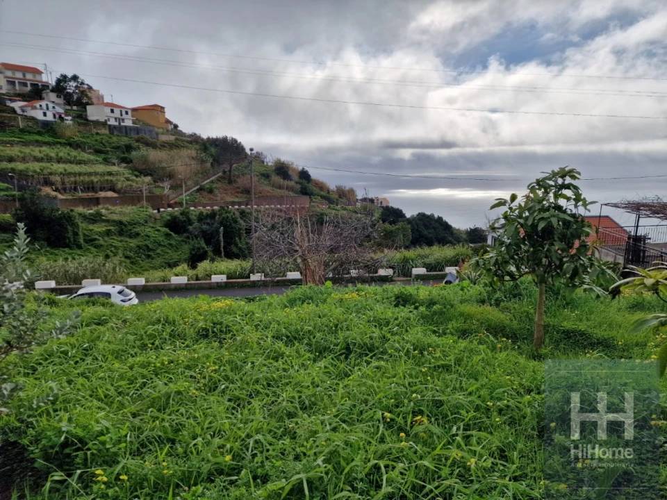 Terreno Agricola ou Rústico para Venda em Ribeira Brava Foto 9