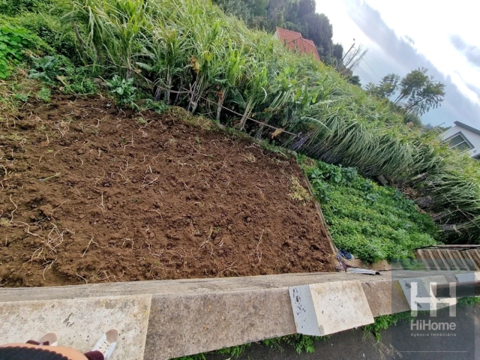 Terreno Agricola ou Rústico para Venda em Ribeira Brava Foto 11