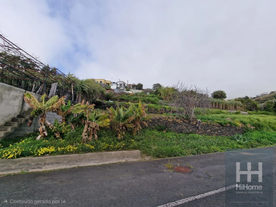Terreno Agricola ou Rústico para Venda em Ribeira Brava Foto 12