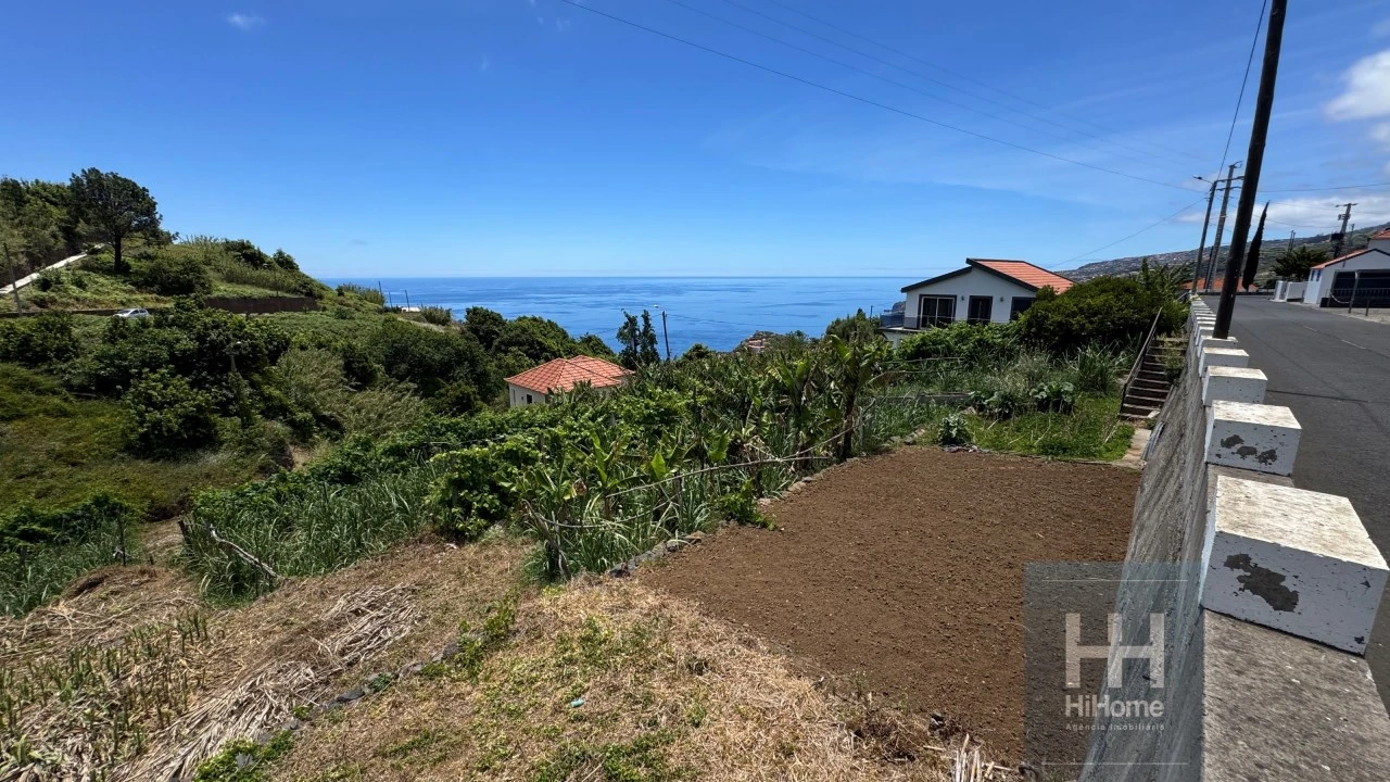 Terreno Agricola ou Rústico para Venda em Ribeira Brava Foto 16