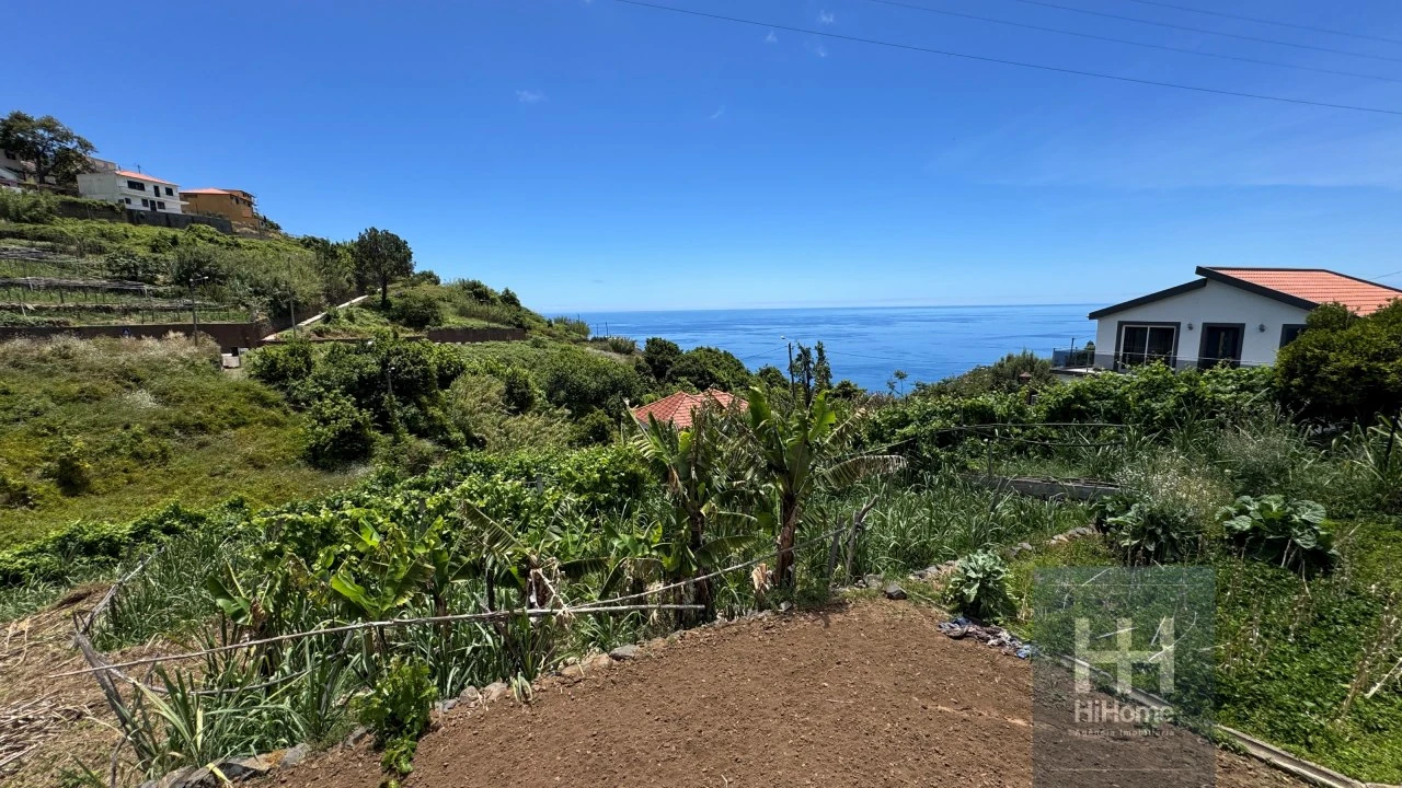 Terreno Agricola ou Rústico para Venda em Ribeira Brava Foto 17