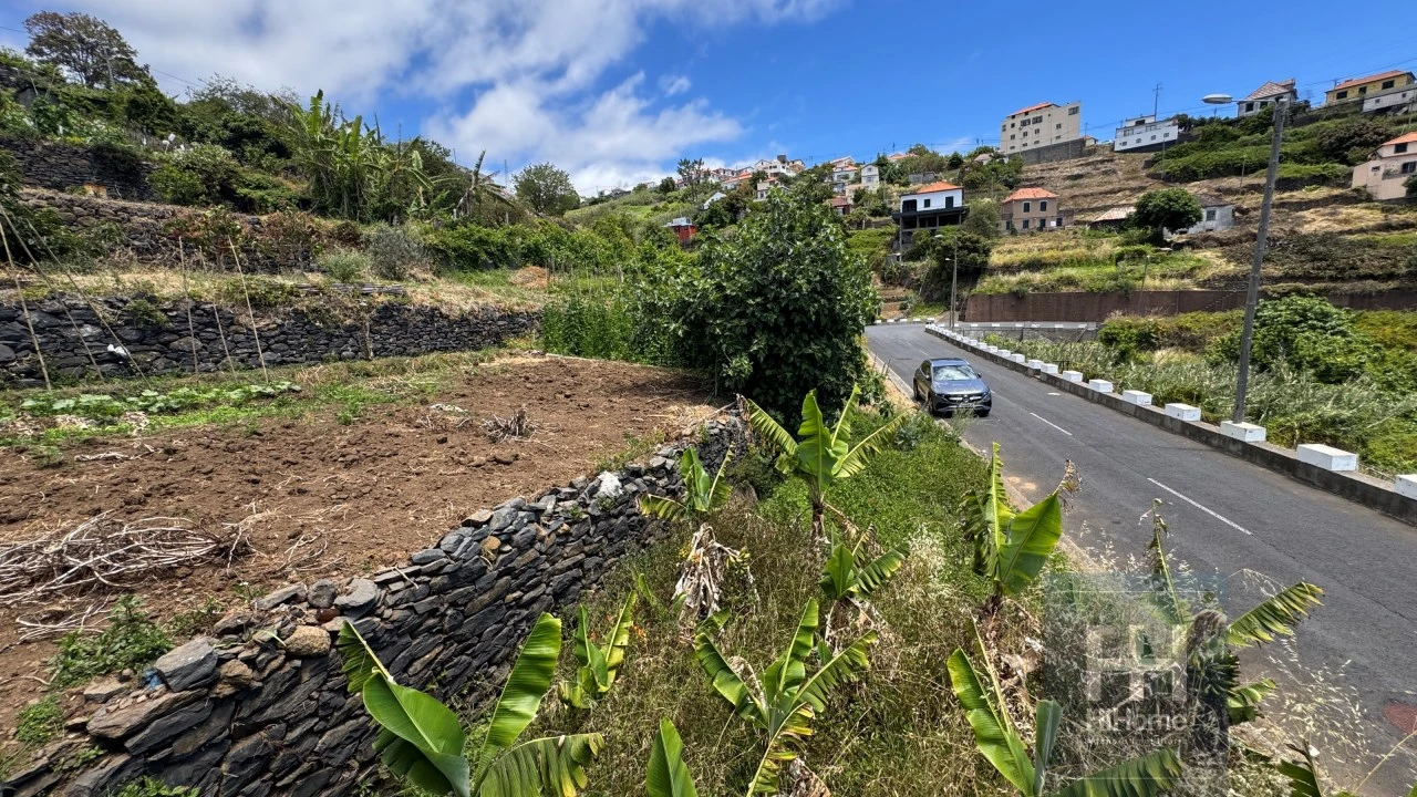 Terreno Agricola ou Rústico para Venda em Ribeira Brava Foto 18