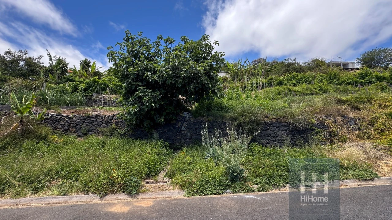 Terreno Agricola ou Rústico para Venda em Ribeira Brava Foto 21