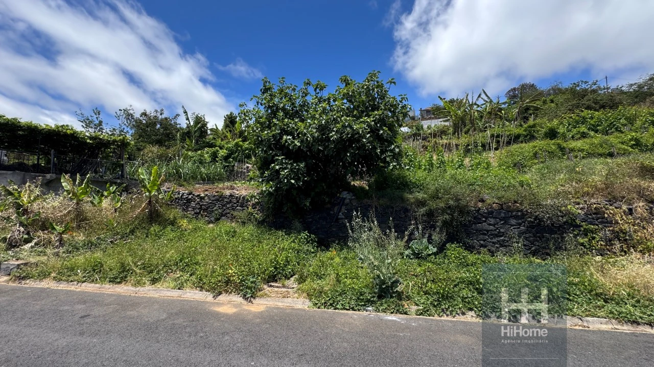 Terreno Agricola ou Rústico para Venda em Ribeira Brava Foto 22