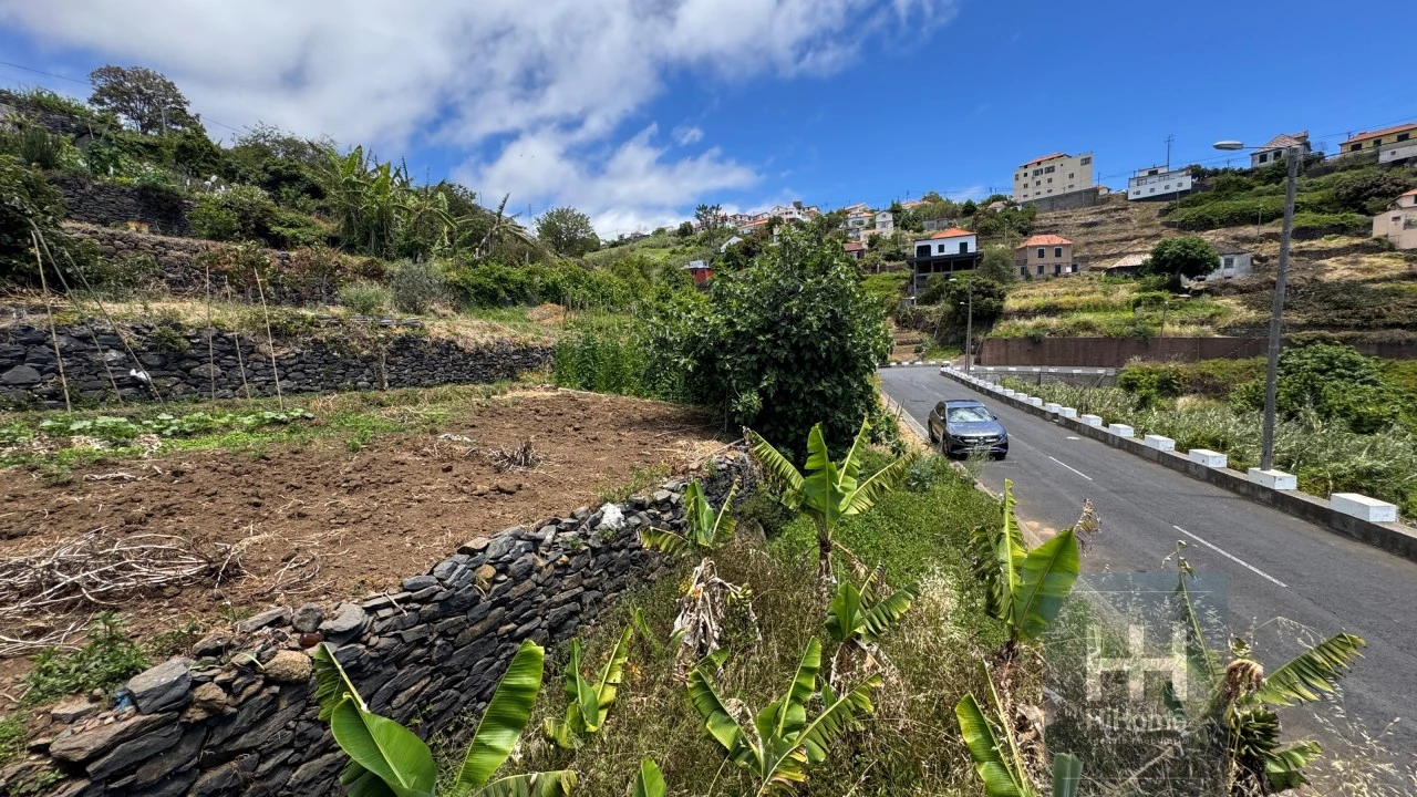 Terreno Agricola ou Rústico para Venda em Ribeira Brava Foto 25