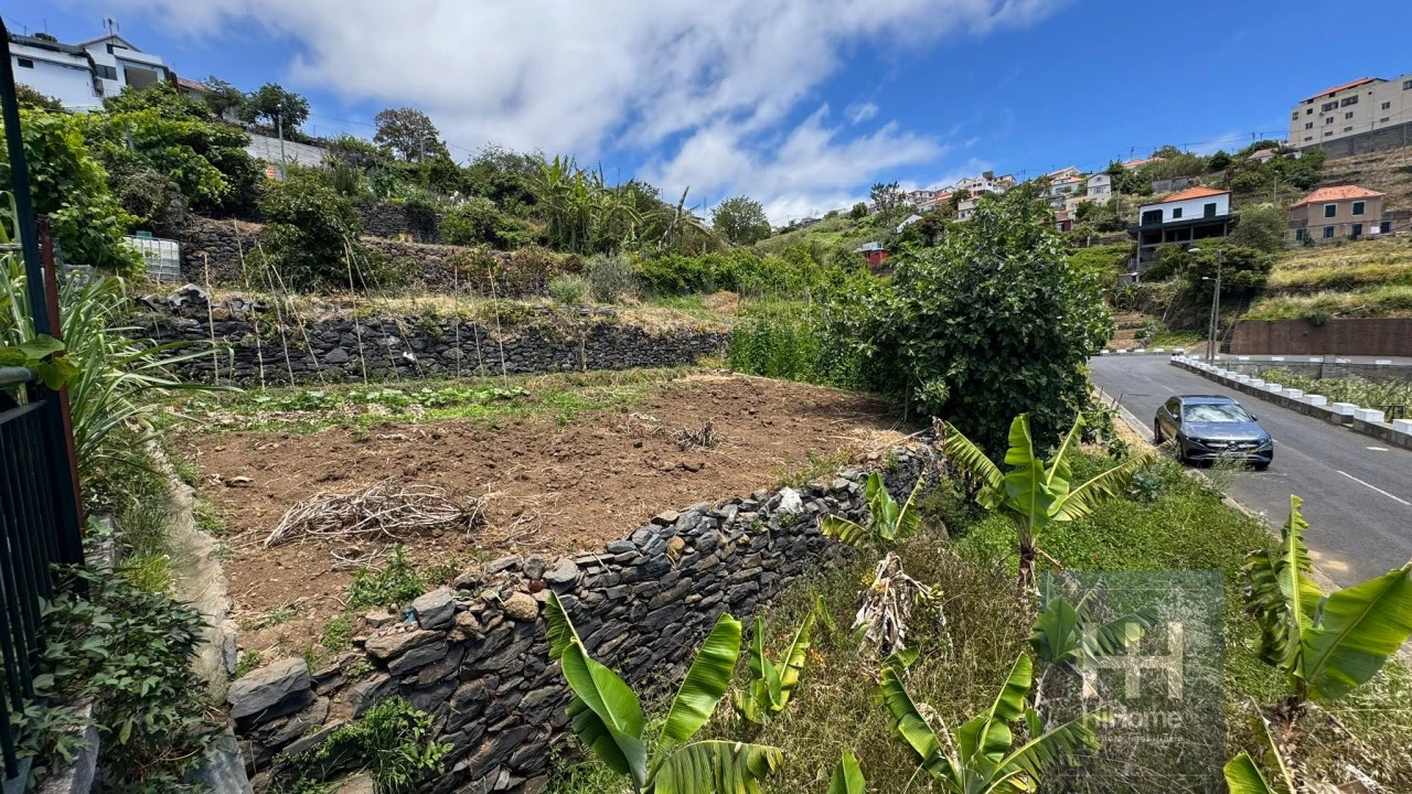 Terreno Agricola ou Rústico para Venda em Ribeira Brava Foto 27