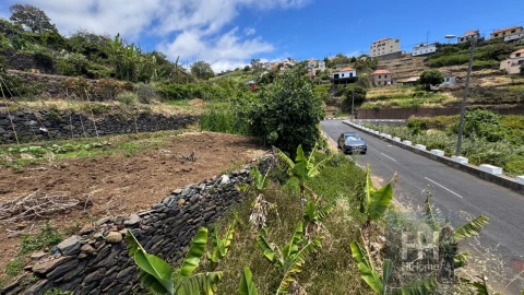 Terreno Agricola ou Rústico para Venda em Ribeira Brava