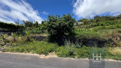 Terreno Agricola ou Rústico para Venda em Ribeira Brava