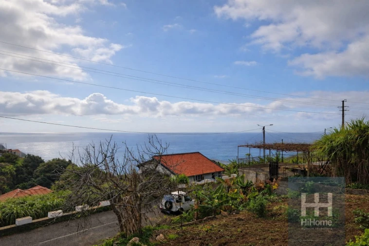 Terreno Agricola ou Rústico para Venda em Ribeira Brava