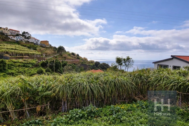 Terreno Agricola ou Rústico para Venda em Ribeira Brava Foto 3