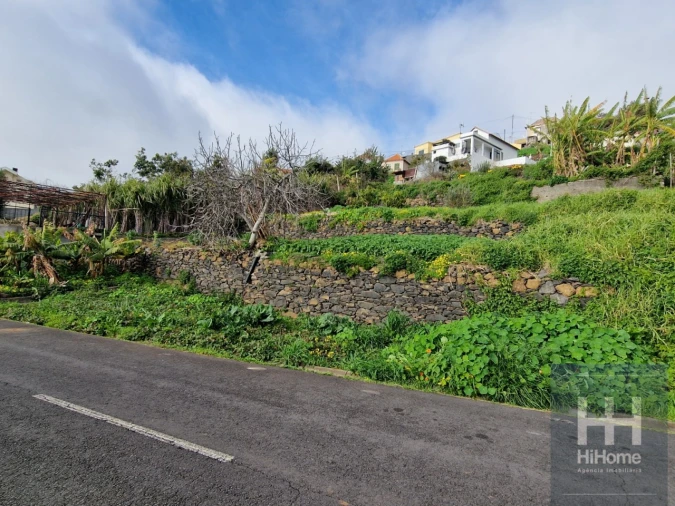 Terreno Agricola ou Rústico para Venda em Ribeira Brava Foto 4