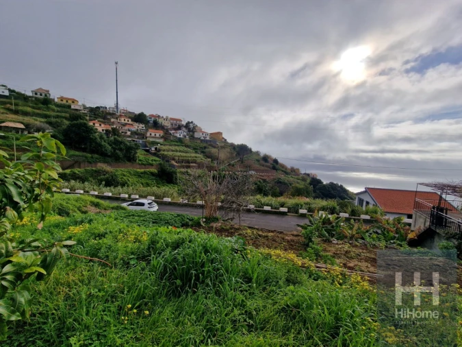 Terreno Agricola ou Rústico para Venda em Ribeira Brava Foto 5