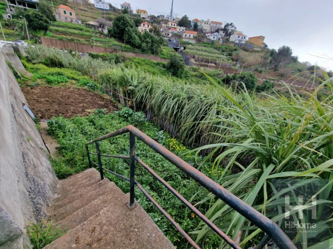 Terreno Agricola ou Rústico para Venda em Ribeira Brava Foto 10