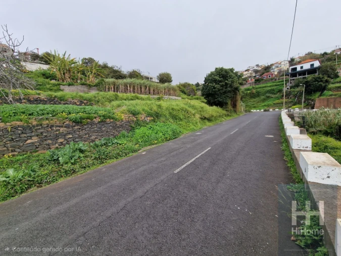 Terreno Agricola ou Rústico para Venda em Ribeira Brava Foto 14
