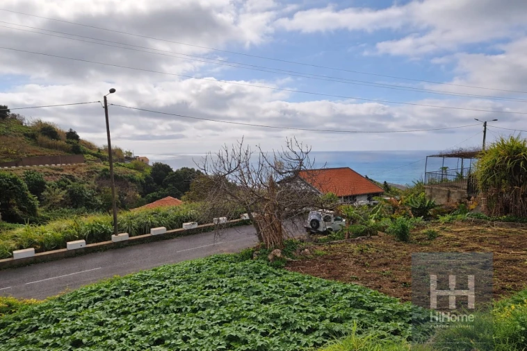 Terreno Agricola ou Rústico para Venda em Ribeira Brava Foto 15