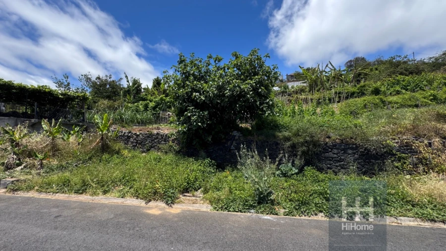 Terreno Agricola ou Rústico para Venda em Ribeira Brava Foto 22