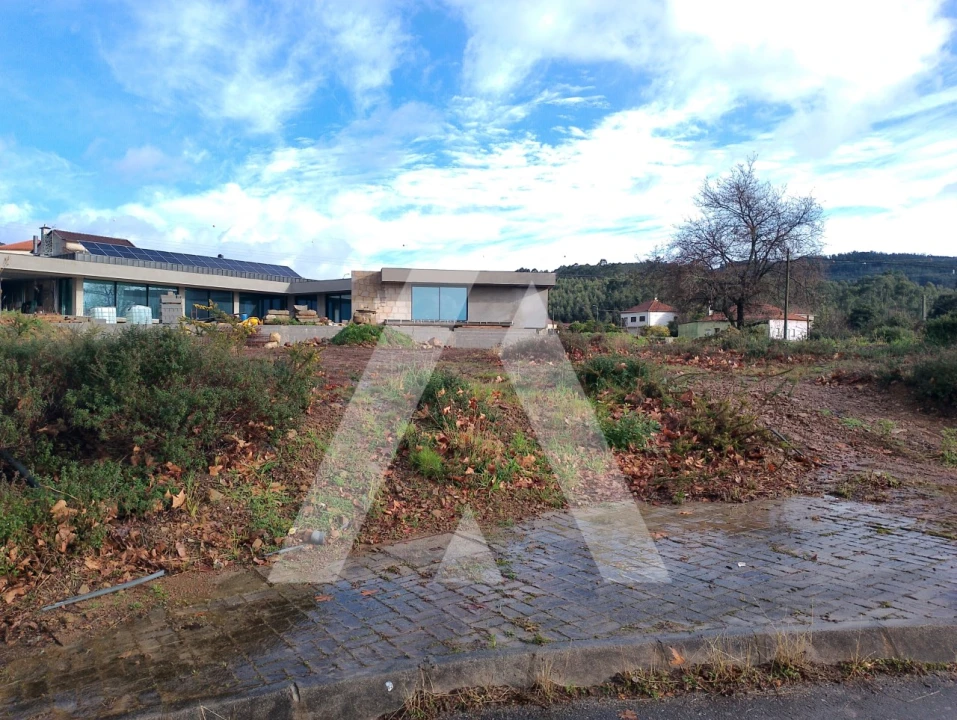 Terreno para Venda em Mujães Foto 2