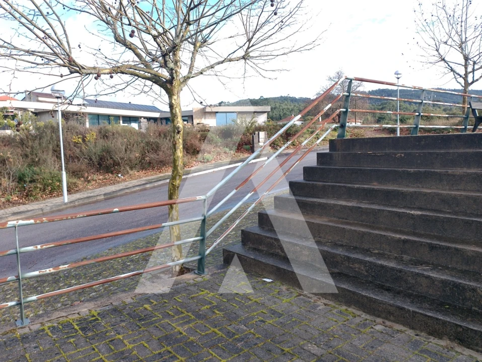 Terreno para Venda em Mujães Foto 4