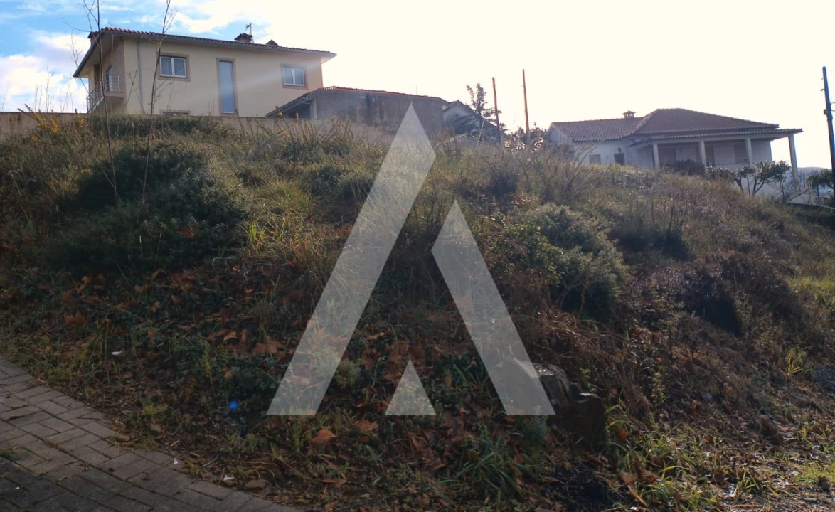 Terreno para Venda em Mujães Foto 3