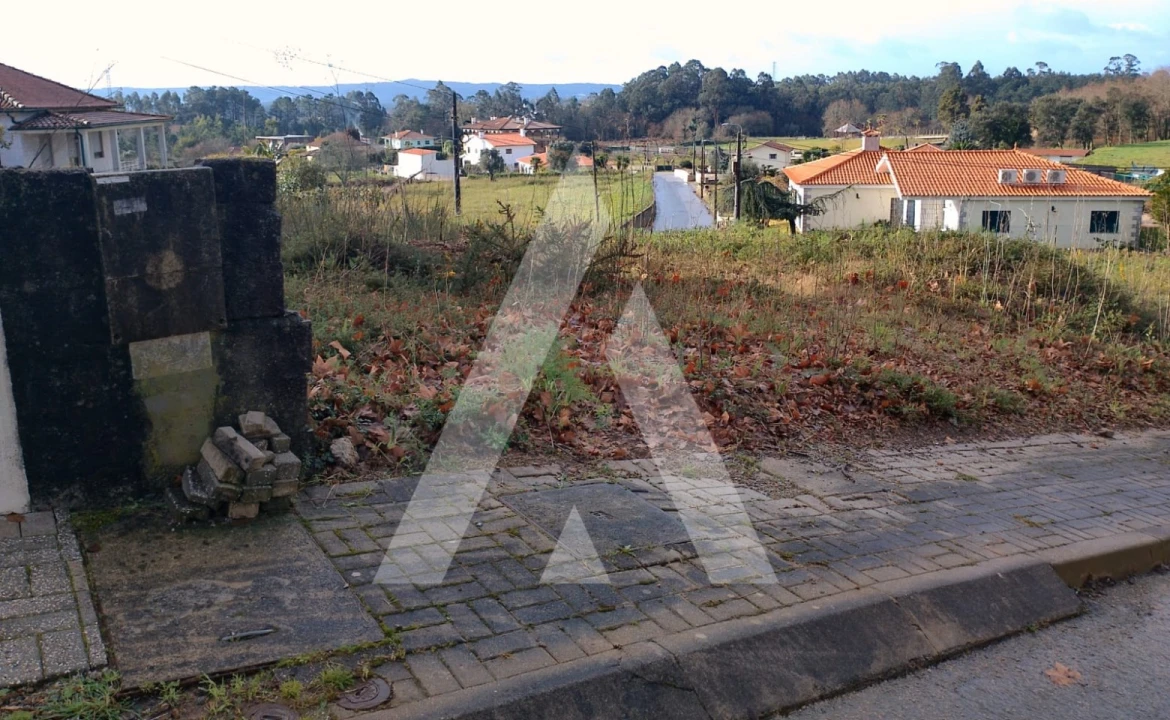 Terreno para Venda em Mujães Foto 2