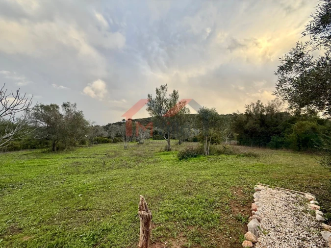 Moradia T2 para Venda em Loule (São Clemente) Foto 31