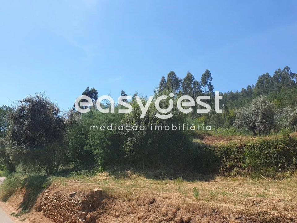 Terreno Agricola ou Rústico para Venda em Miranda do Corvo Foto 5