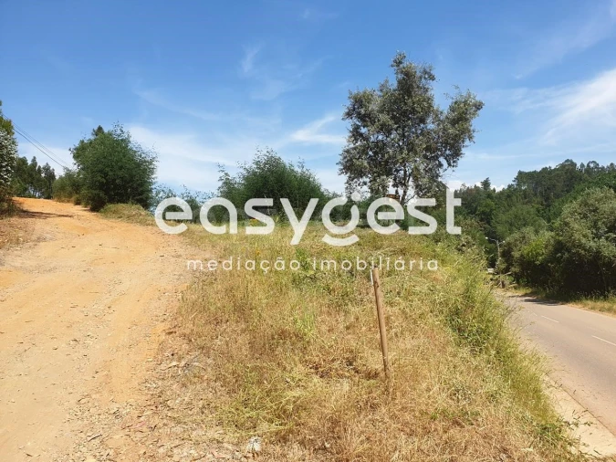 Terreno Agricola ou Rústico para Venda em Miranda do Corvo Foto 2