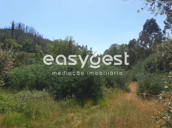 Terreno Agricola ou Rústico para Venda em Miranda do Corvo Foto 4