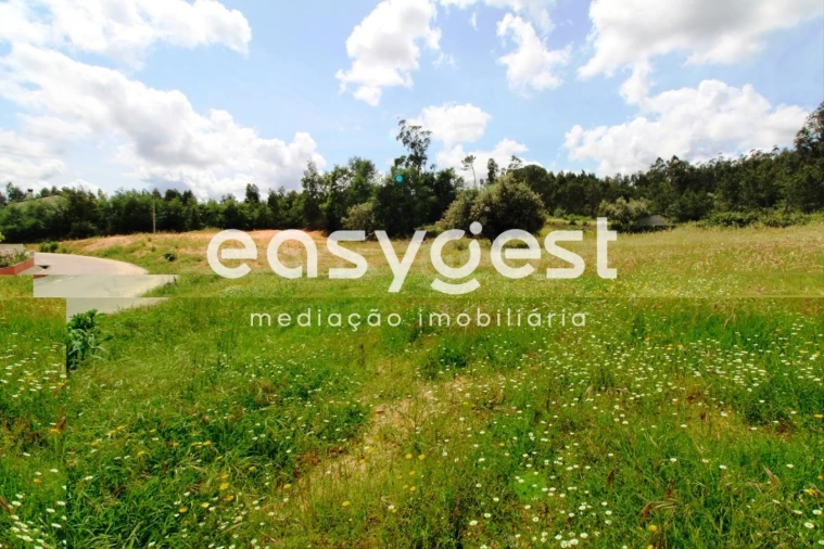 Terreno para Venda em Meãs do Campo Foto 1