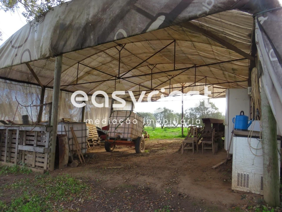Terreno Agricola ou Rústico para Venda em São Francisco da Serra Foto 4