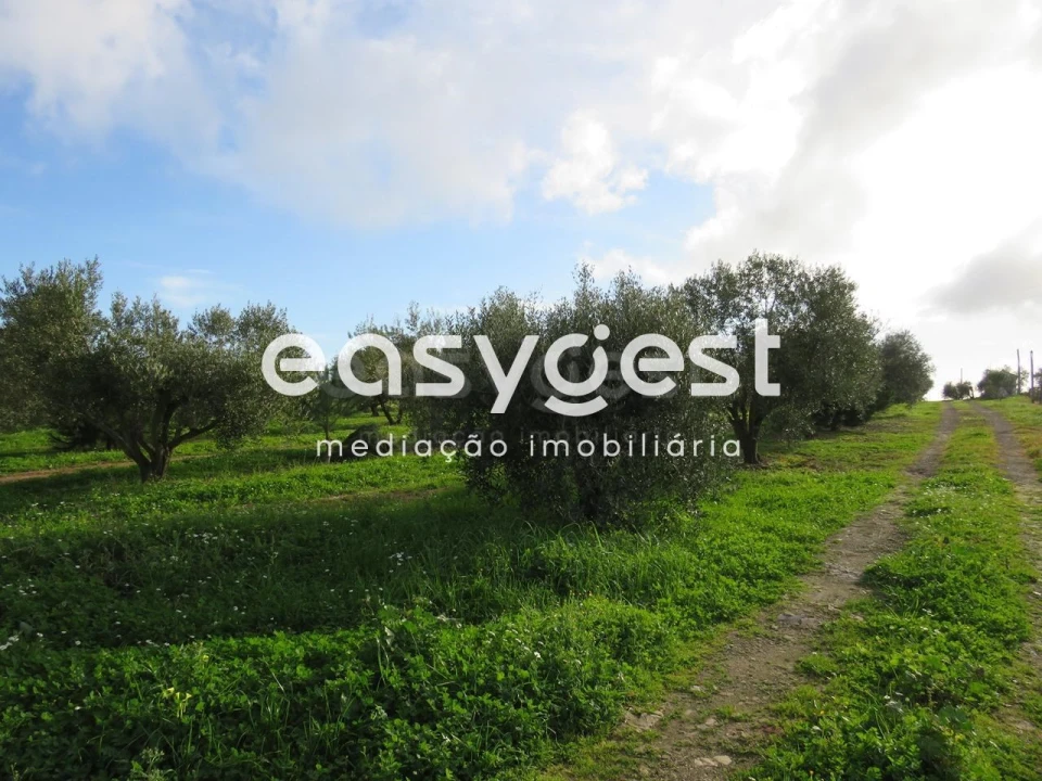 Terreno Agricola ou Rústico para Venda em São Francisco da Serra Foto 9