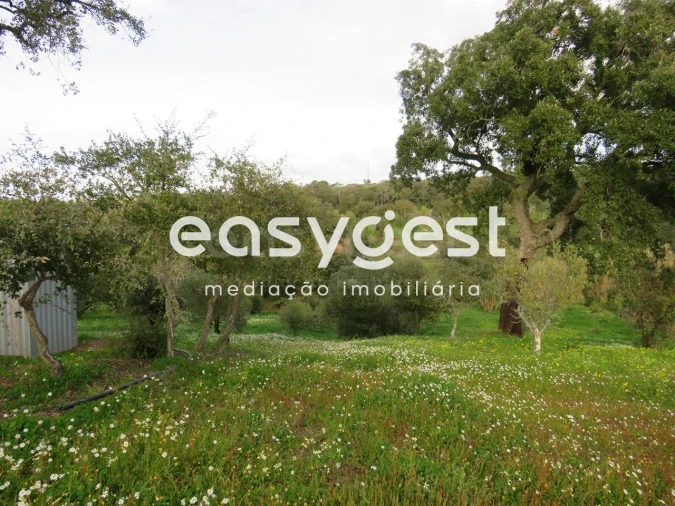 Terreno Agricola ou Rústico para Venda em São Francisco da Serra Foto 6
