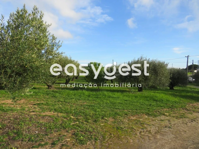 Terreno Agricola ou Rústico para Venda em São Francisco da Serra Foto 12
