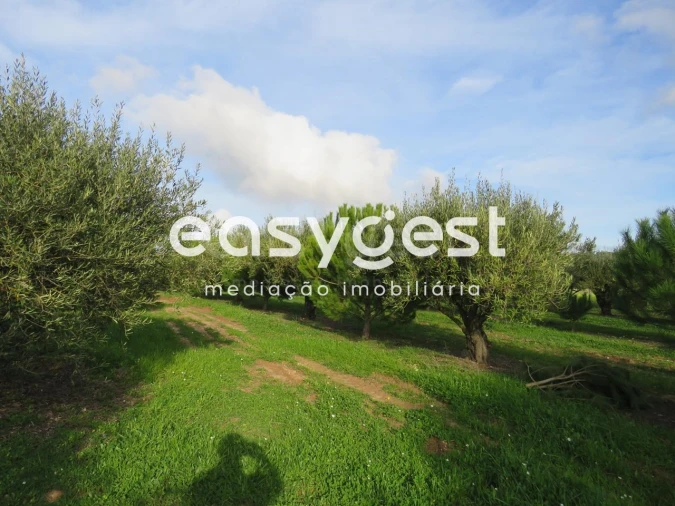 Terreno Agricola ou Rústico para Venda em São Francisco da Serra Foto 16