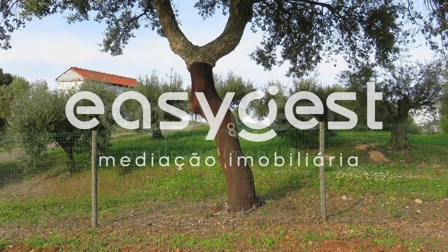 Terreno Agricola ou Rústico para Venda em São Francisco da Serra