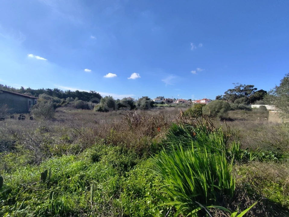 Terreno para Venda em Rio de Mouro Foto 2