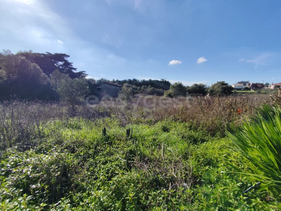 Terreno para Venda em Rio de Mouro Foto 10