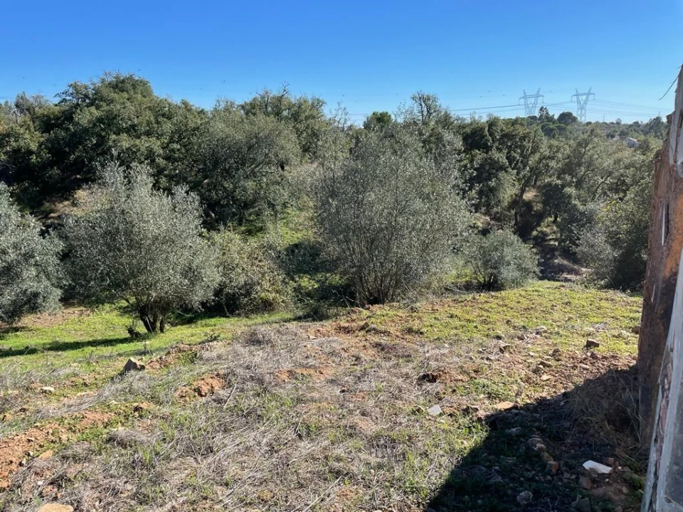 Terreno para Venda em São Francisco da Serra Foto 4
