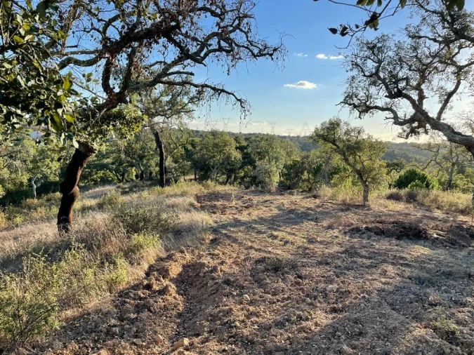 Terreno para Venda em São Francisco da Serra Foto 5
