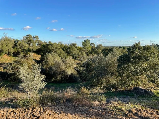 Terreno para Venda em São Francisco da Serra Foto 6