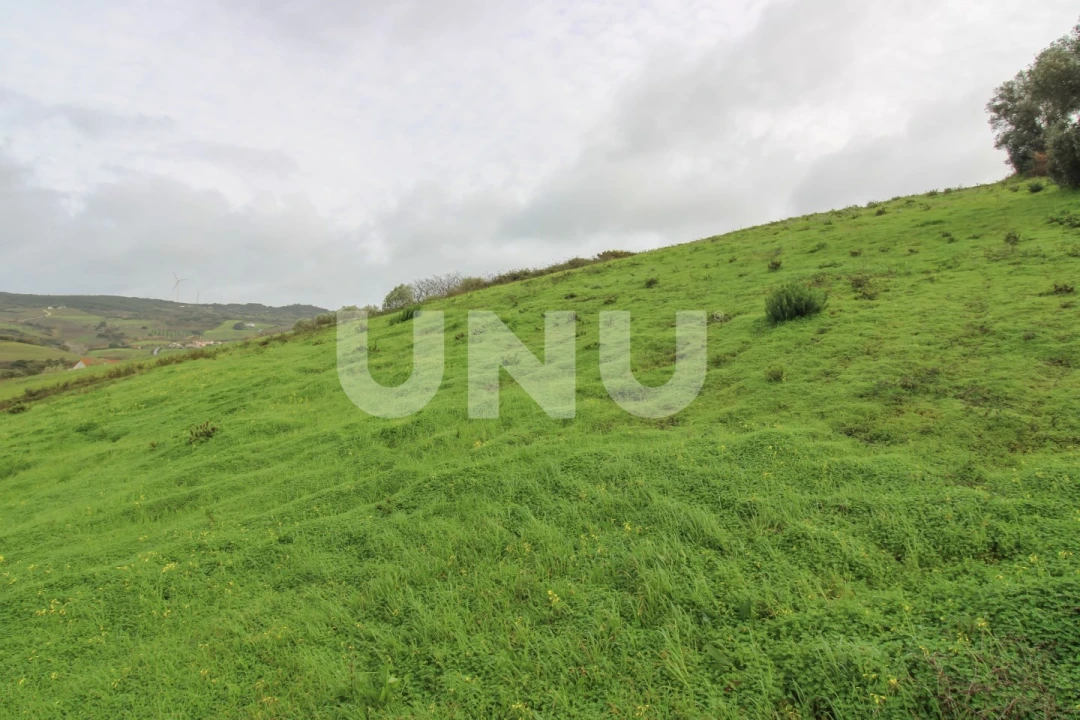 Armazém para Venda em Arruda dos Vinhos Foto 4