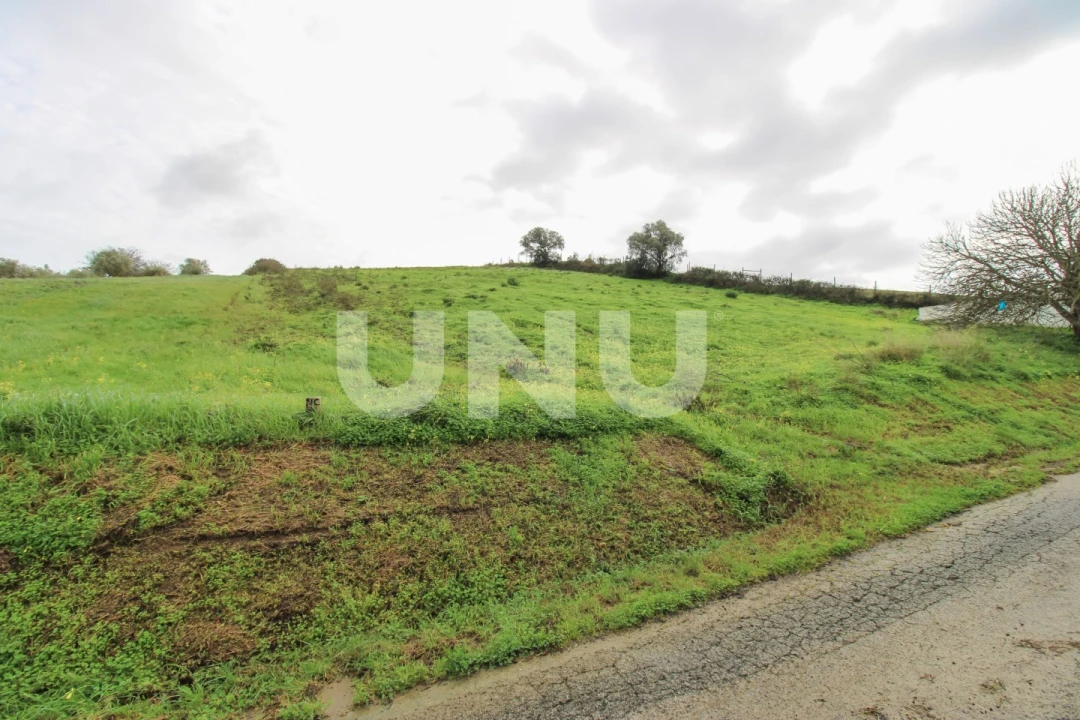 Armazém para Venda em Arruda dos Vinhos Foto 8