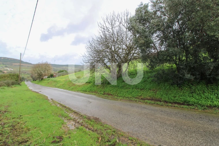 Armazém para Venda em Arruda dos Vinhos Foto 7