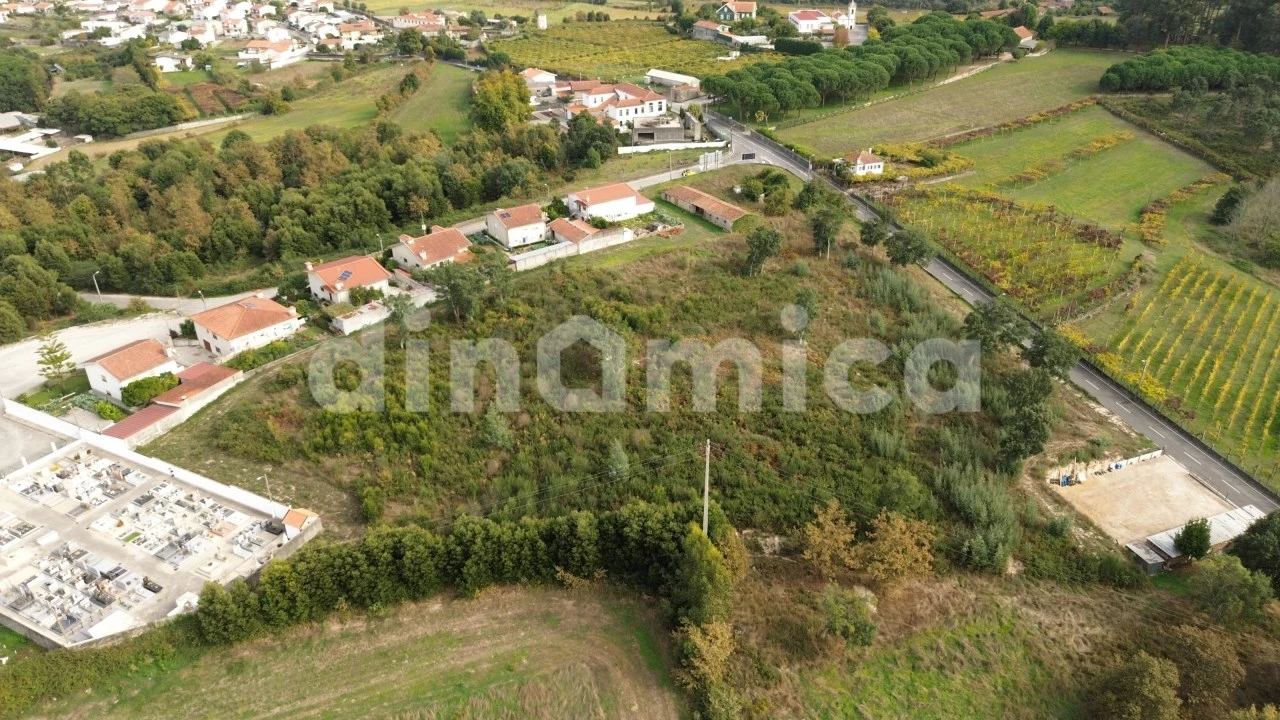 Terreno para Venda em Areias, Sequeirô, Lama e Palmeira Foto 7