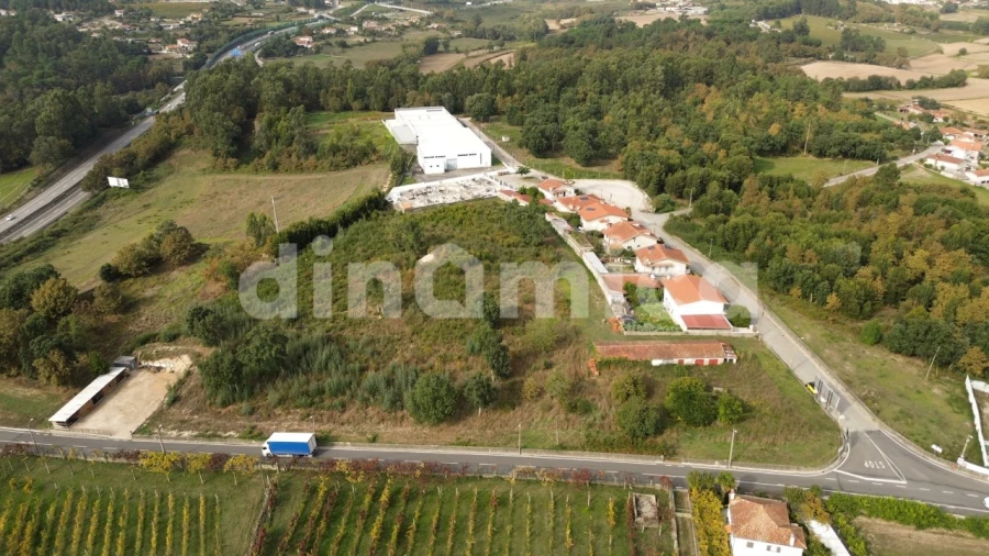 Terreno para Venda em Areias, Sequeirô, Lama e Palmeira Foto 5