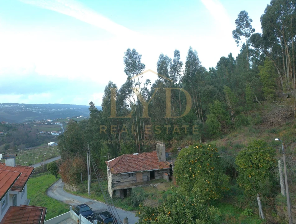 Moradia T2 para Venda em São Martinho de Sardoura Foto 2